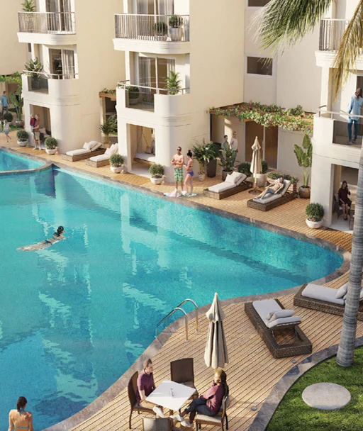 Conscient Vista Arrozal Overview