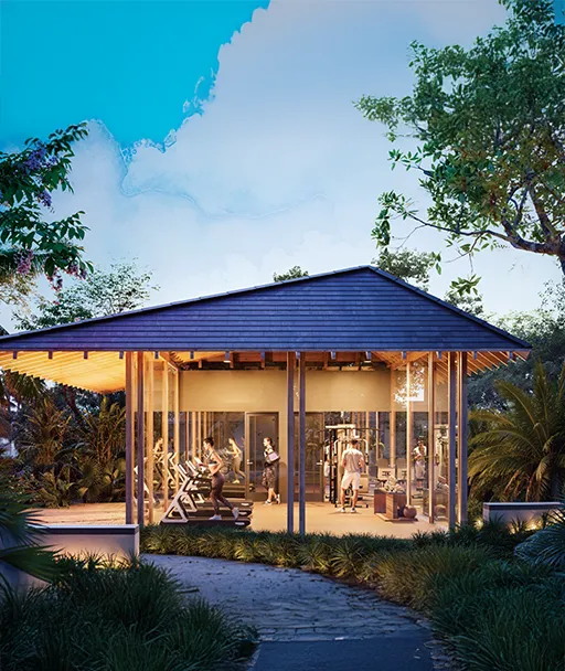 Conscient Asaya Overview